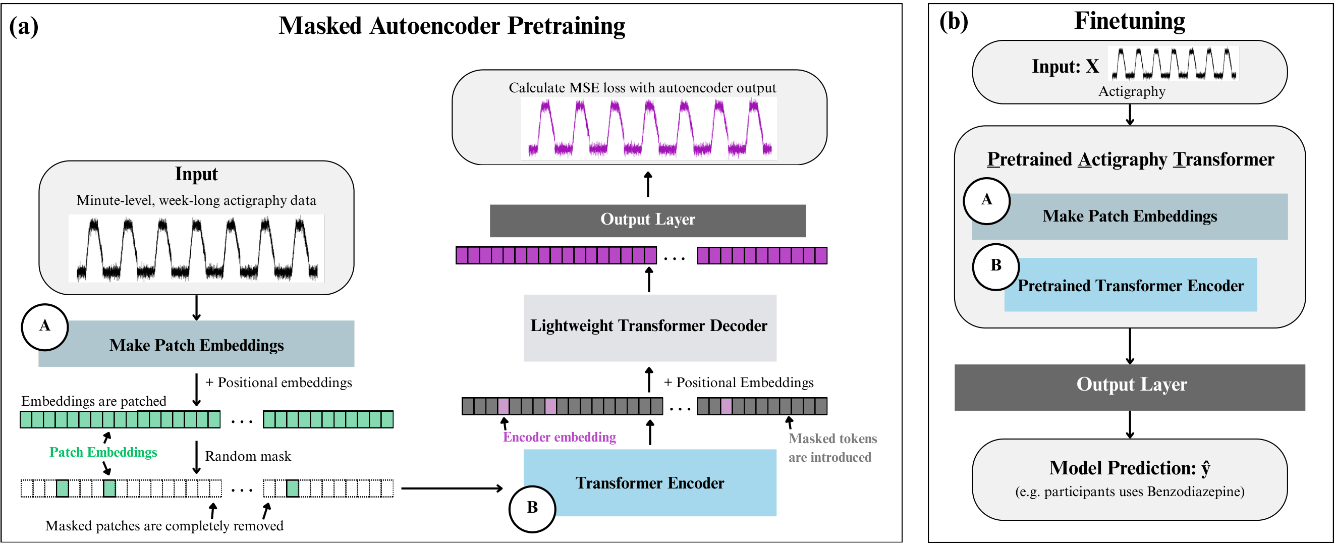 PAT pretraining and fine-tuning architecture diagram